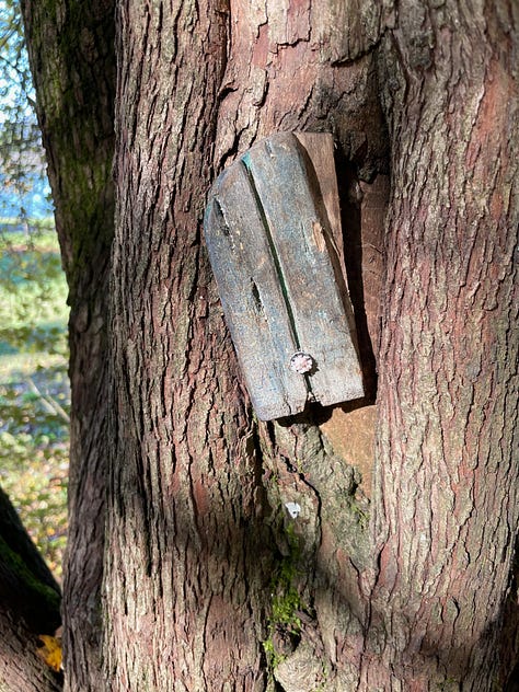 Series of 6 images described in text above: blue faery door, lamp in tree close up with mushroom, lamp in tree from far away with full tree, Sprite cans in crook of tree, key hanging from a string, painted rock wedged in tree bark with words "If it doesn't open, it's not your door" and a blue door