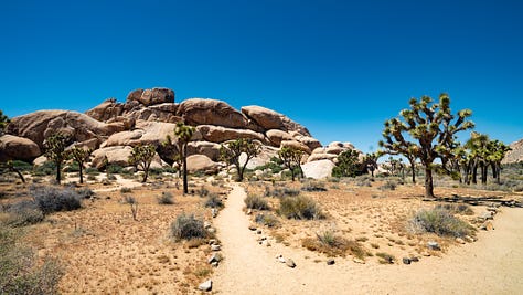 Images of landscapes within Joshua Tree National Park