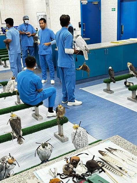 Abu Dhabi Falcon Hospital