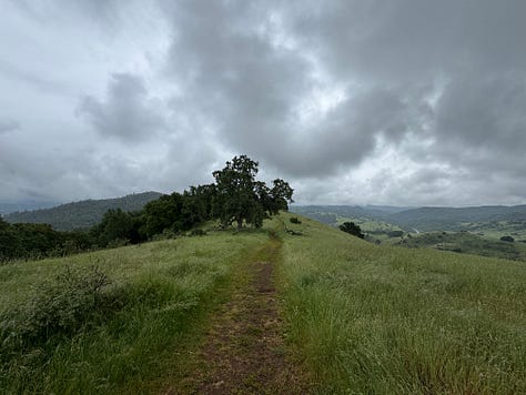 Rainy day hike