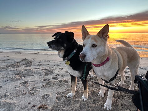 Photos from Baja, Mexico
