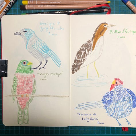 Photos des doubles pages de mon sketchbook où j’ai dessiné les oiseaux aux crayons de couleurs, crayon graphite et parfois un peu de marqueurs aquarelle. A côté de chaque dessin est noté le nom de l’oiseau et le temps consacré au dessin.
