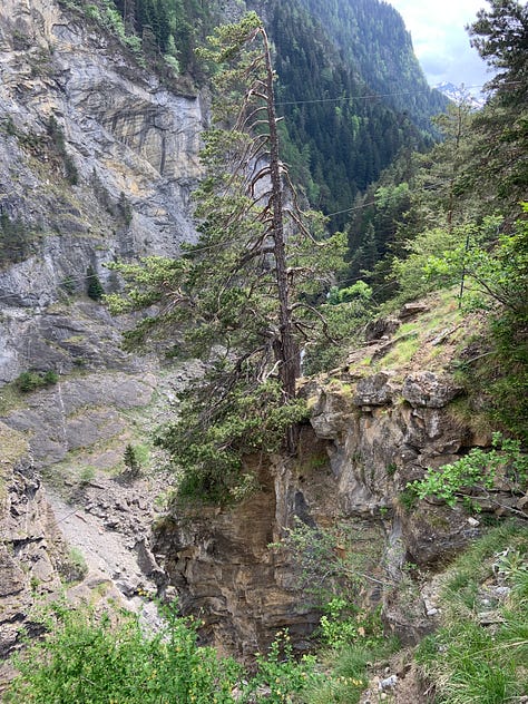 Italian Thermal Baths at the Foot of Mont Blanc in Pré-Saint-Didier