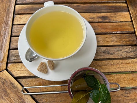 Images of cup and leaves in making tea