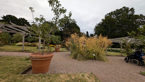 Torre Abbey near Torquay