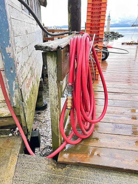 Scenes at a shellfish market