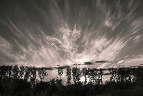 Fotos de naturaleza: aves, nubes, nieve