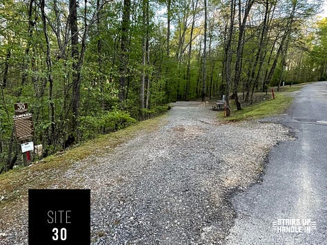 Morganton Point Campsites