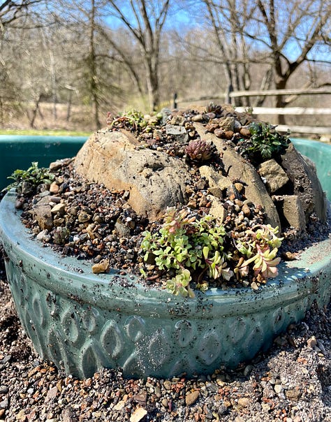 Paul Spriggs spoke and built a sample crevice container for the Pittsburgh NARGS Allegheny Chapter in March 2024. 