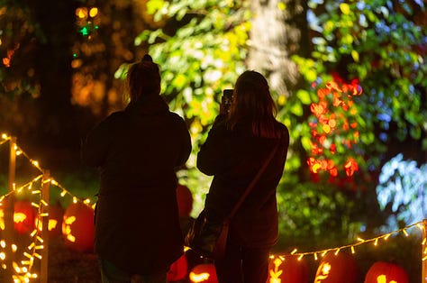 Auckland Castle Pumpkin Trail, Autumn 2024, Halloween