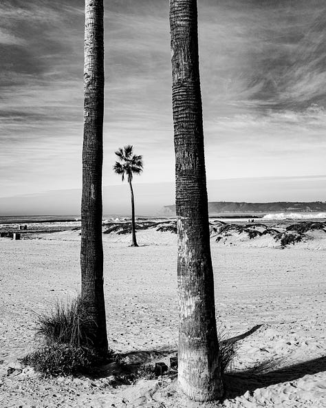 A series of six photographs showcasing the partially cloudy skies, clean sandy beaches, tall slender palm trees, and people enjoying the grounds at the oceanfront Hotel del Coronado resort. The photographs are shown in black and white 