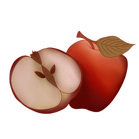 An artistic rendering of, in order, an apple, apricot, cherry, date, fig, olive, plum, and pomegranate.