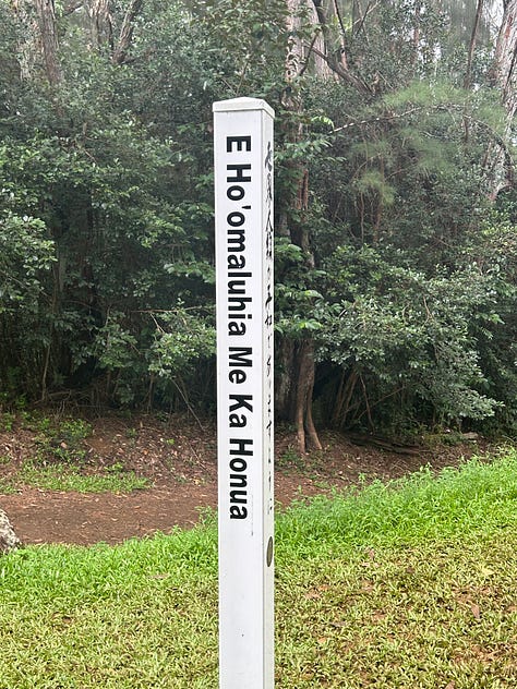 A white stick with Hawaiian on one side and English on another with the message "May Peace Prevail on Earth". The image in the center is of a stone buddha statue overlooking a ravine of tropical plants.