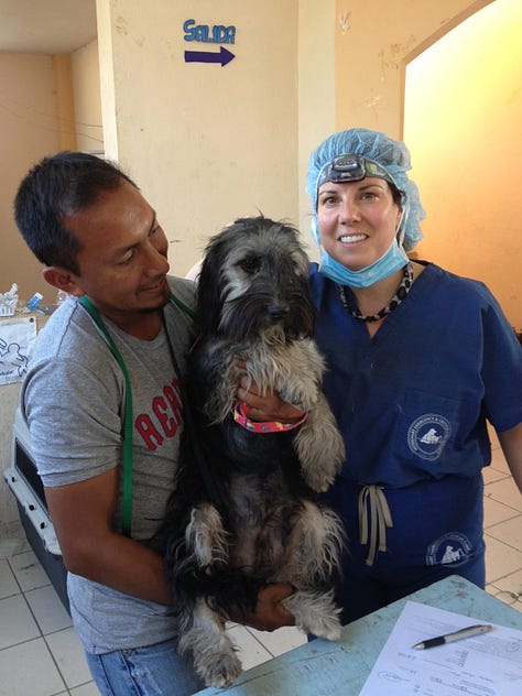 Photos of Michele Saletros, DVM at work as a veterinarian.