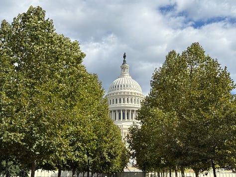 A picture of the U.S. Capitol building, recognizable by its iconic dome and surrounded by trees, likely taken from a garden or park nearby. A close-up of a plate with a waffle, ice cream, and what seems to be a side of strawberries. The plate is ornate, with a traditional blue-and-white pattern and the name "Li'l Louis's" written on it. A detailed view of a fresco or painted ceiling, likely the Apotheosis of Washington, found in the dome of the U.S. Capitol Rotunda.