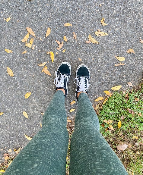 Photo of paved trail through a leafy green forest with sunlight streaming through; a photo of the photographer's legs and feet on a paved trail along grass and surrounded by fallen yellow leaves; a tree in late summer during dusk; a hand holding up a red and orange maple leaf with fall foliage in the background; a tree in mid-autumn; a tree in mid-winter; barren trees outlined against a clear blue dusk sky; a tree in early spring; an early springtime scene in a park along the river, with a painter framed by two trees.