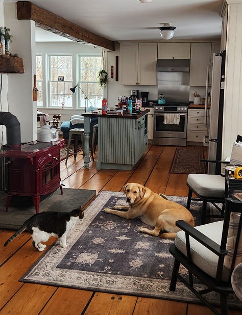 woman wields a sledge hammer to shelves, a new refrigerator stands in a room gutted to the studs, a farmhouse kitchen with a red woodstove, an old beam, a Yellow Lab and wood floors