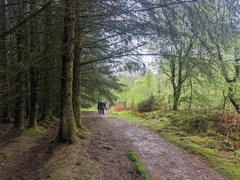 waterfall walk brecon beacons