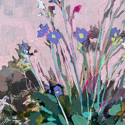 Paintings and sketches of the Mealy Primrose wildflower by artist, Jennifer Mohr.