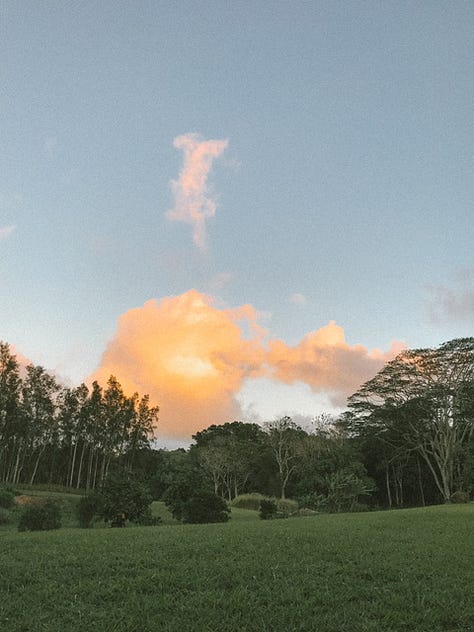 A collection of six images showing a glimpse into my life living in a a rural part of a small pacific island, growing flowers, hosting intimate dinner parties, connecting to my ancestors, and as an animal lover.