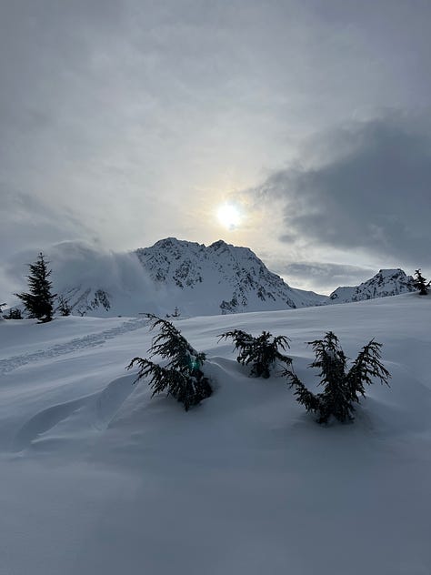 Photos from my recent cabin trip near Seward, Alaska.