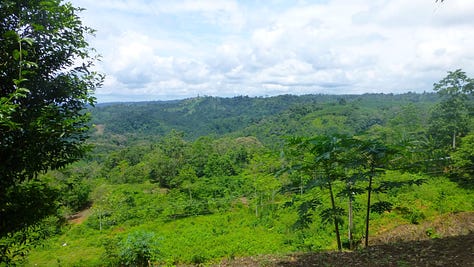 Ecuadorian rainforest with shamans