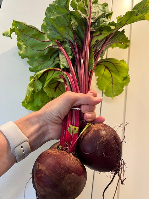 Beets