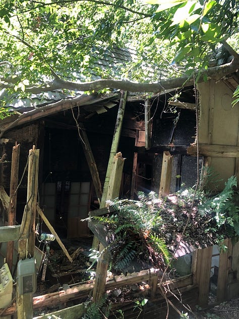 Kitchen roof collapsed, fallen wood beams and chimney, and brick stove.