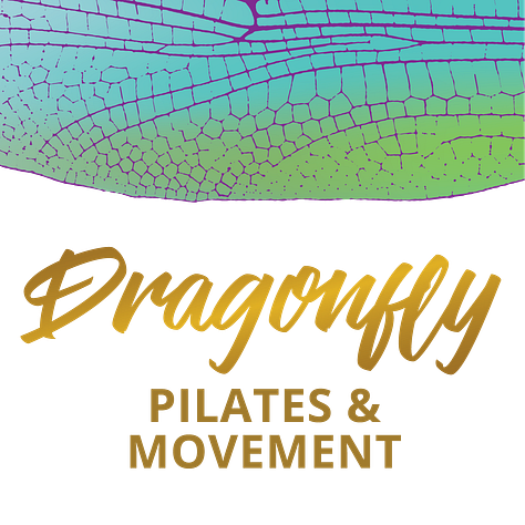 Three logos: The Vibrancy Society, Dragonfly Pilates & Movement, Threads & Bones exploring creativity