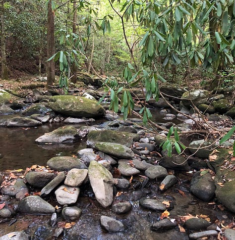 Three images show different views of creeks. The first image shows a shallow creekbed. The second shows large rocks and foliage. The final image shows a small child holding a lantern, wading through a creek at dusk.