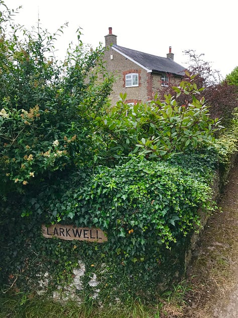 Cottages in hamlet of Juniper Hill