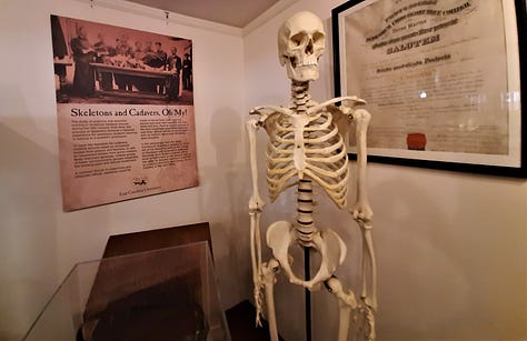A skeleton that was used for teaching, along with a case with many vials of medicines in front of it and a long tube holding original handmade pills.