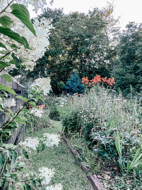 Tessa Pinner's garden