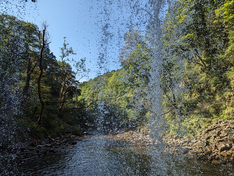 guided walk in the waterfalls area of the brecon beacons national park