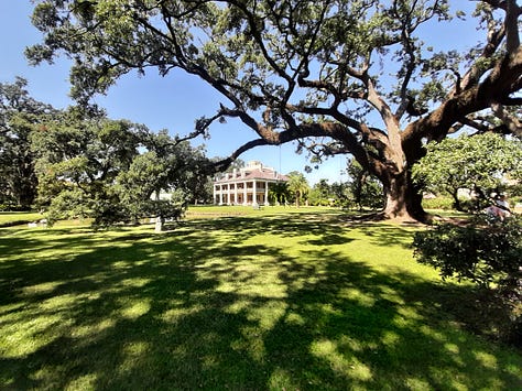 Scenes from the gardens and yard of the Houmas House including a pond sculpture of a crane, the pillars of the front porch with a peacock, and large old live oak trees.