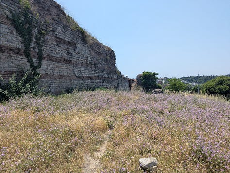 Theodosian Walls (Walls of Constantinople)