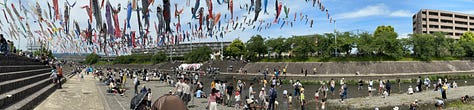 All different photos of Japanese koi fish kites