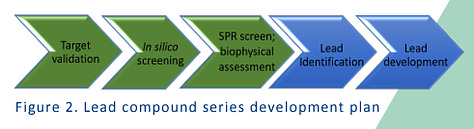 New Targeting Strategy for Lupus Erythematosus