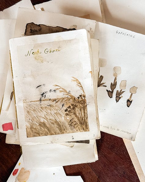 drawings geese, moth, skull, plants,