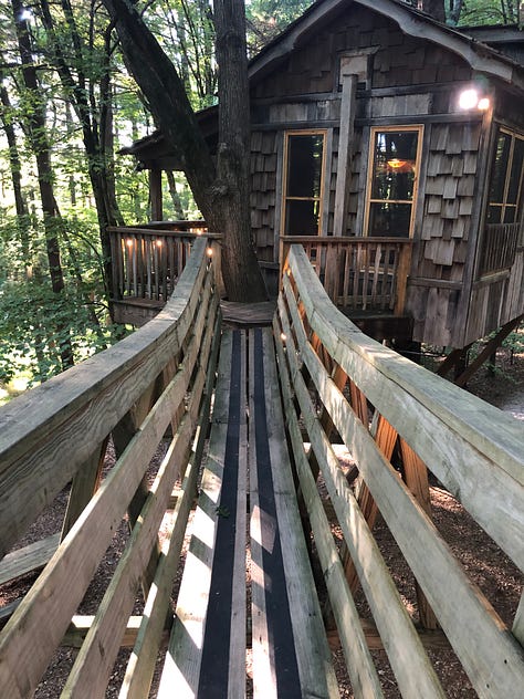 three images: treehouse up in the ari with porch and suspended from two oak trees, a suspension bridge to get there from the top of the stairs, and a view of the inside with a loft bed and kitchen