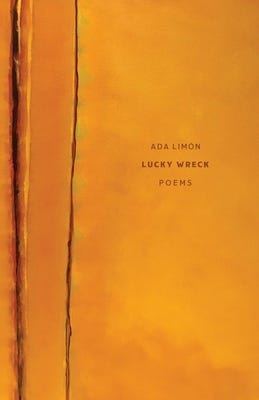 The five favorite poetry books: Bells In Winter, Green River Valley, Lucky Wreck, The Next Monsters, and Voracity