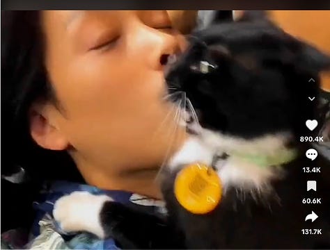 A man holding a black and white cat; giving the cat a kiss; the cat responds with a hiss and fangs.
