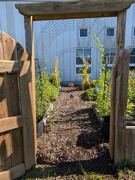 images of an open doorway into a school garden full of growing plants, supports, and arches