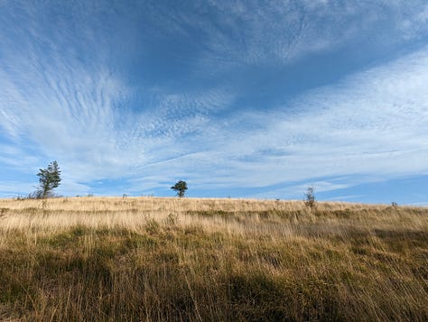 guided walk of the waterfalls of the BBNP with Wales Outdoors