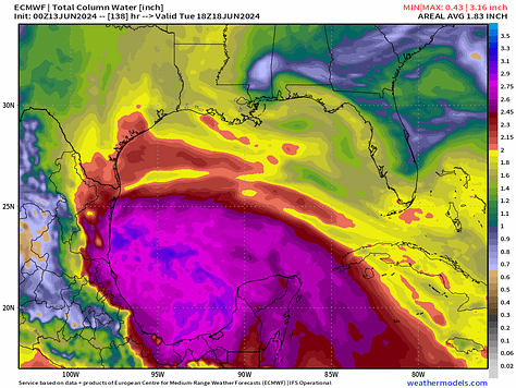 Potential TS development in southern Gulf