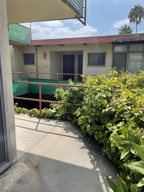 2040 Rodney Avenue, a midcentury modern apartment complex that has been empty for years and is suffering from deferred maintenance (mold, stucco damage, peeling paint, a long-empty pool, cracked concrete, rust stains, etc.).