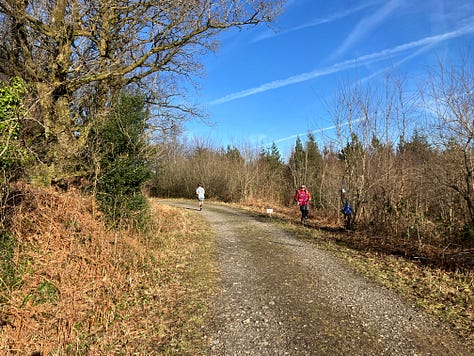 Wide path under blue skies, with sparse scrub to the side
