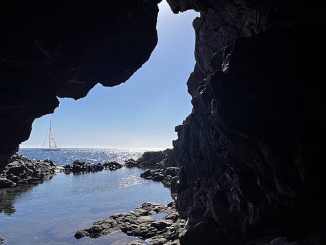 nature scenes on the island of Tenerife