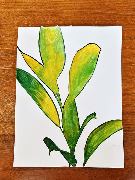 Six photos of the steps you need to take for this prompt. A plant in sunlight, casting a shadow. Two photographs of line drawings once the shadow of the plant has been traced. Three photos of the painting in progress.