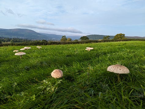 guided walk of sugar loaf and skirrid with Wales Outdoors